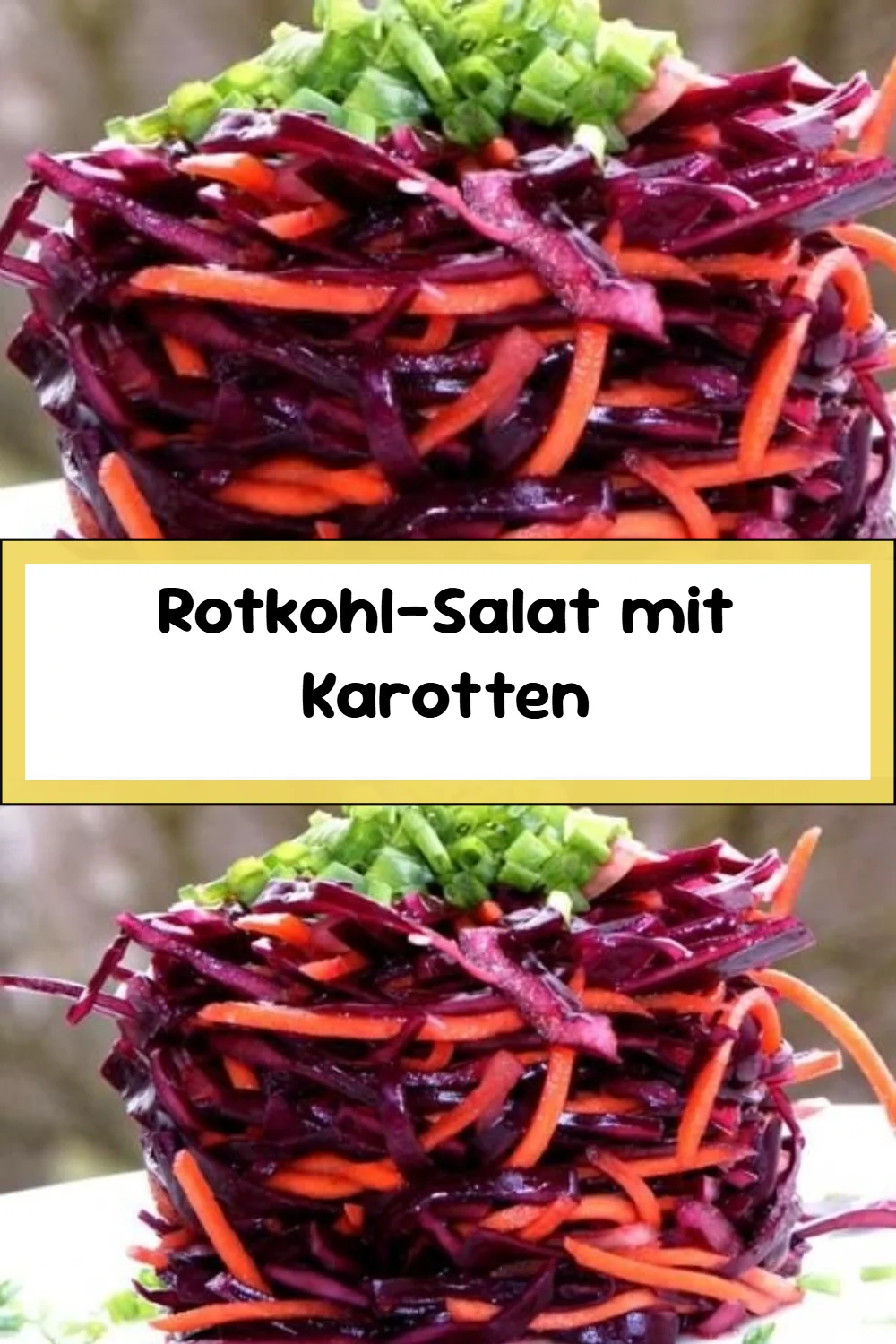 Rotkohl-Salat mit Karotten